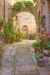 Street with stone arch decorated with plants (Spello) © frank11