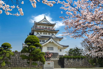 Fototapeta premium 千葉城と桜