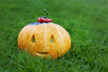 halloween funny pumpkin with a smile in autumn green grass