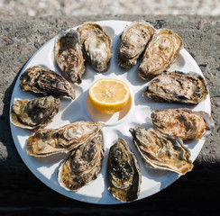 Fresh oysters on the plate