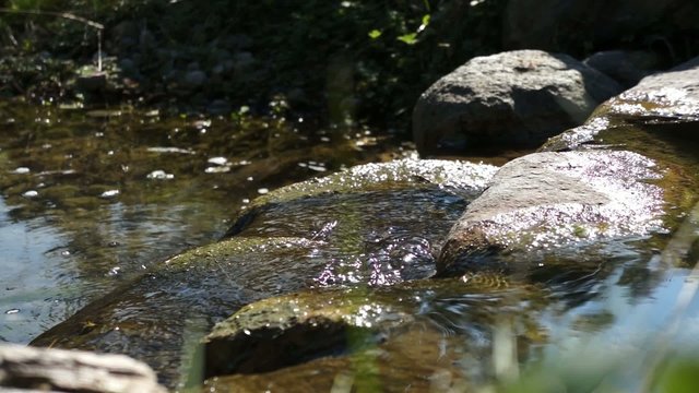 Wasserfall im Steingarten