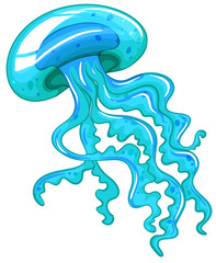 Fototapeta premium Jellyfish