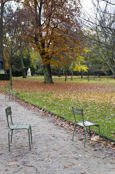 jardin du luxembourg automne