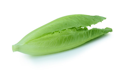 Fototapeta premium Cos Lettuce on White Background