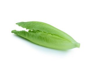 Fototapeta premium Cos Lettuce on White Background