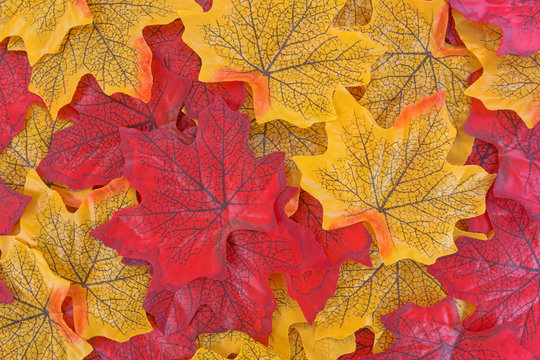 Group of yellow and red fake fall leaves