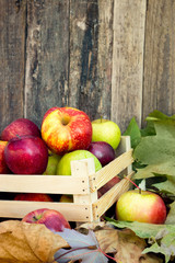 Healthy organic apples