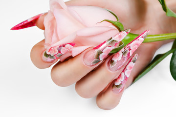 Female hand with beautiful nails holds a rose. © berezandr