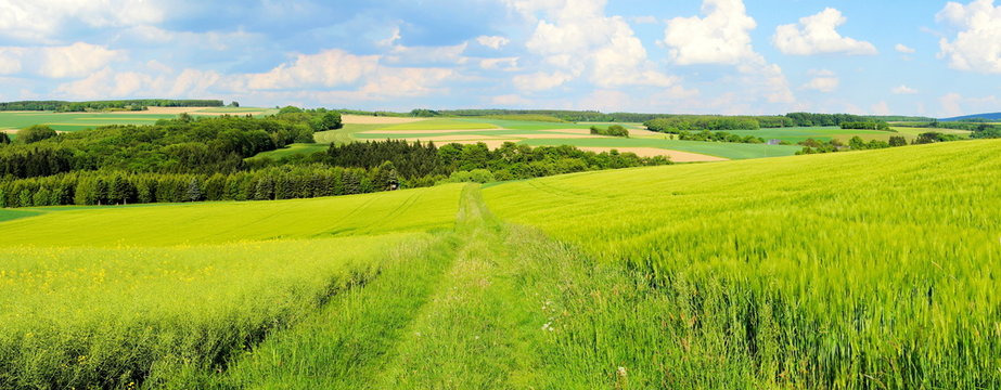 gr&uuml;ne Fr&uuml;hlingslandschaft Panorama