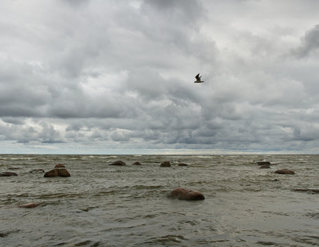 Fototapeta Baltic sea.