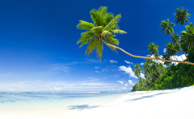 Tropical Beach and Blue Sky Destination