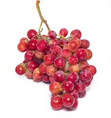 Red grape