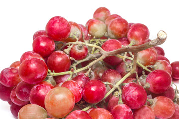 Red grape