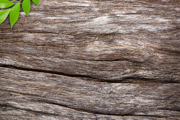 wood background seamless