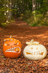 Kürbismonster zu Halloween im Wald
