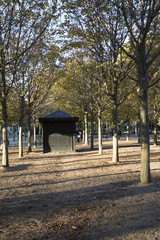 jardin du luxembourg automne
