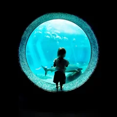 Zelfklevend Fotobehang Immersed at the Aquarium © openyouraperture