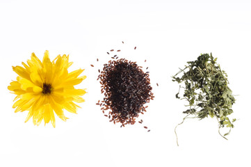 Kräuter und Gewürze