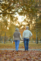 Fototapeta premium Mature couple walking