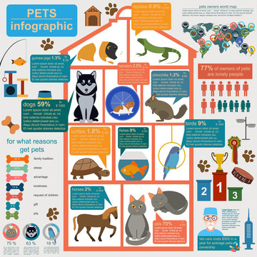 Domestic pets infographic elements, helthcare, vet