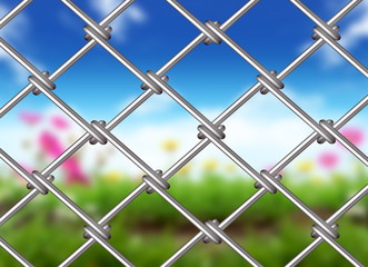 Chainlink fence on White Background