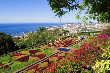 botanical garden,funchal,madeira © MIGUEL GARCIA SAAVED