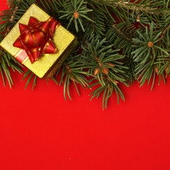 Christmas gift, Gift box next to the firs on red background