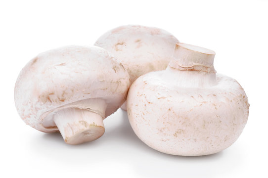 Fresh champignon isolated on white background