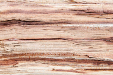 Naklejka na ściany i meble Wood texture