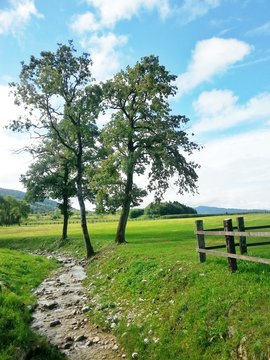 Paesaggio bellunese