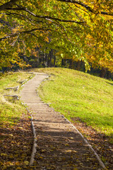 Naklejka premium Colorful leaves on the trees in the mountains