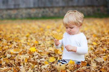 Little toddler boy playing in autumn park