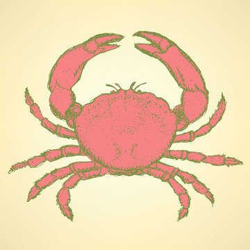 Sketch cute crab in vintage style