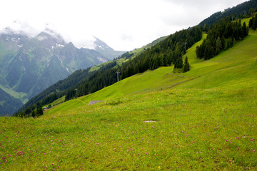 Naklejka premium Zillertal - Alpen