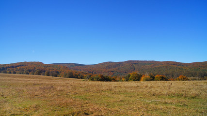Fototapeta premium Autumn landscape
