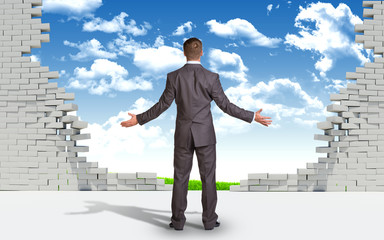Businessman and ruined brick wall with nature landscape