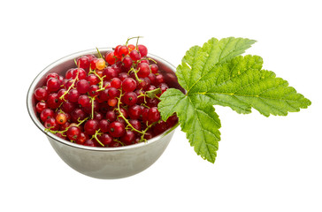 Red currant