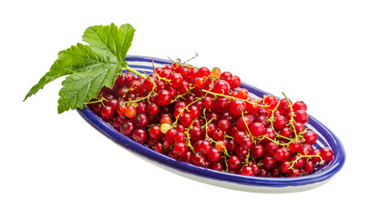 Red currant
