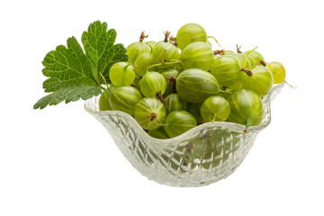 Gooseberry