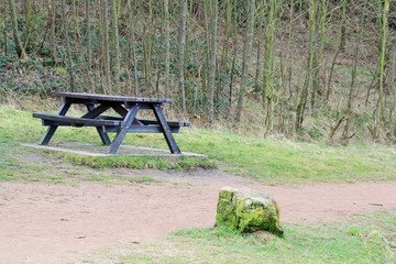 picnic bench in the park