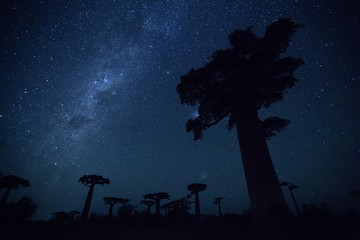 Madagascar