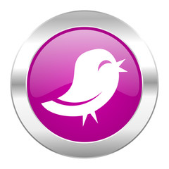 twitter violet circle chrome web icon isolated