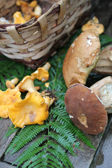 Cèpes et girolles