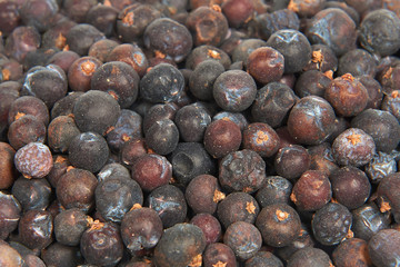 Dried juniper berries