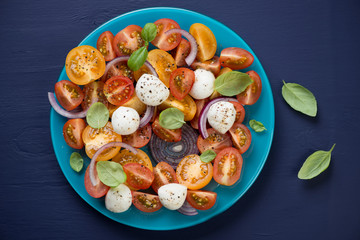 Salad with various tomatoes, mozzarella and onion, above view