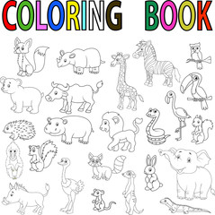 Wild animal coloring book