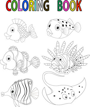 Cartoon fish coloring book
