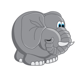 small elephant