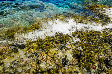 The waves roll on a coral reef in the Red Sea, Egypt