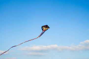 colorful kite